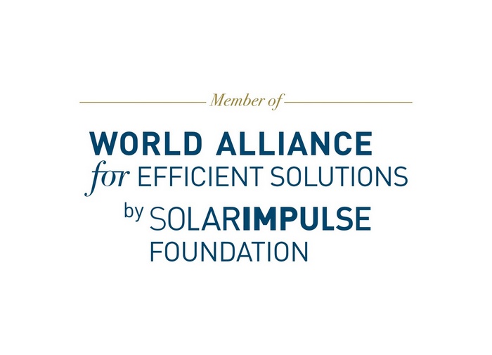 World Alliance of Efficient Solutions 