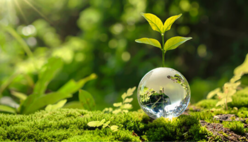 How Can AI Help Solve the European Climate Crisis by Improving Real Estate Efficiency?