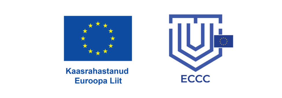 EAS Grants Project Area: Support for the Mapping and Development of Cybersecurity Levels